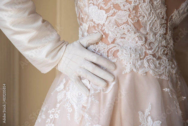 Obraz Robe de mariée en dentelle