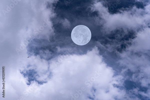 Fototapeta Full moon on the sky with clouds.
