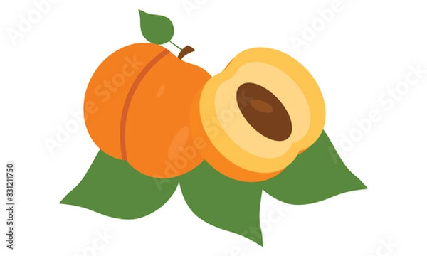 Obraz Peach Vector And Illustration Design . 