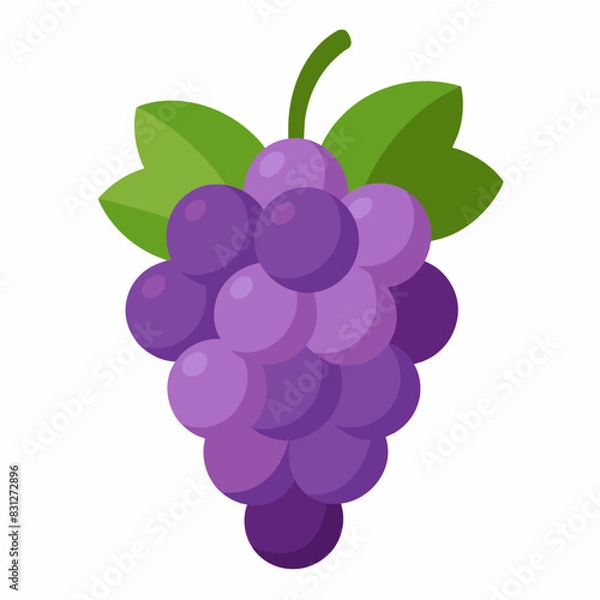 Obraz vector illustration of grape