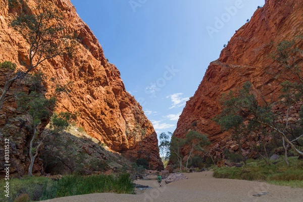 Obraz Alice Springs in Northern Territory, Australia