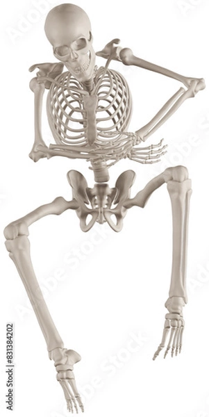 Fototapeta skeleton posing 3d render illustration with transparent background