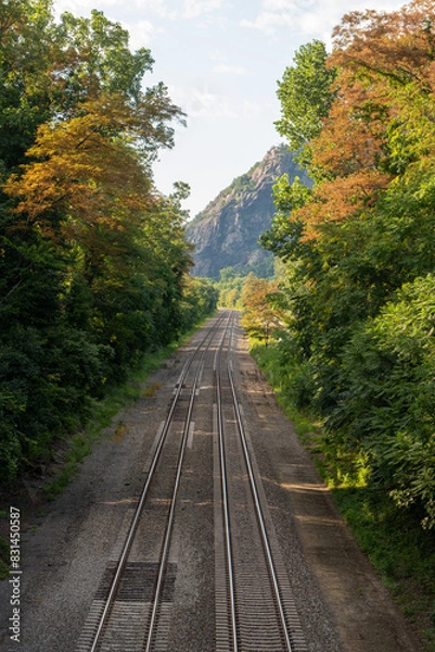 Fototapeta railway in the autumn