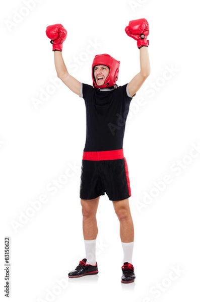 Obraz Funny boxer isolated on the white