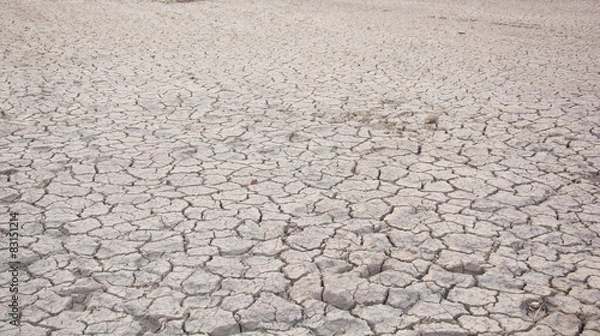Fototapeta Dry land. Cracked ground background.