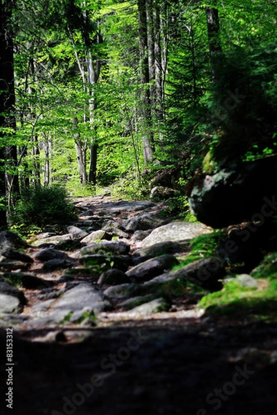 Fototapeta mountain hiking trail 