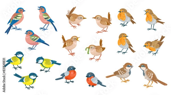 Fototapeta Collection of little birds in different poses. Bullfinch, titmouse, finch, robin, wren and sparrow. Isolated on white background. Vector flat illustration.
