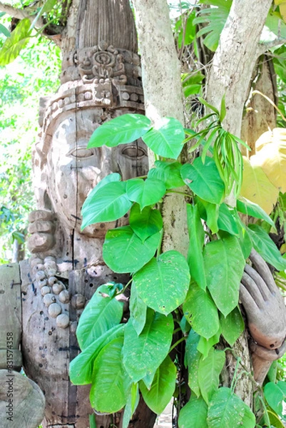 Fototapeta An ancient stone statue adorned with lush green foliage in a serene forest setting