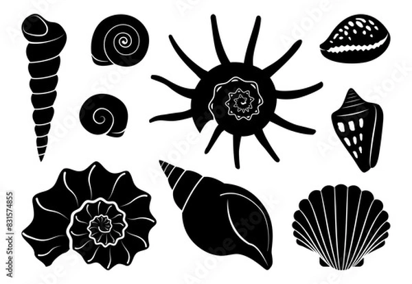 Obraz Black shells silhouettes collection in flat style. Isolated seashell shapes on white background. Vector illustration