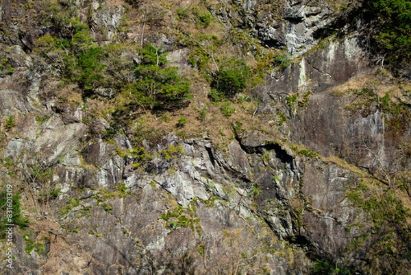 Fototapeta 静岡県川根本町　寸又峡の景色　2024年春