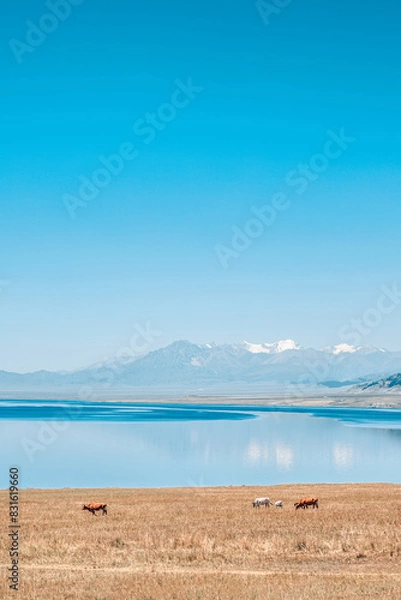 Obraz Sayram Lake Xinjiang