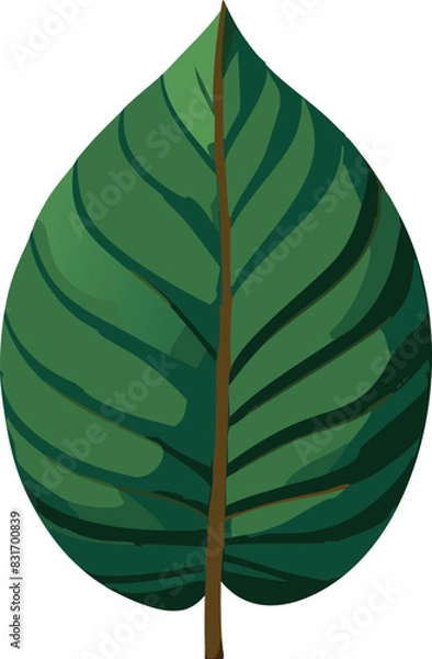 Obraz Vector simple leaf