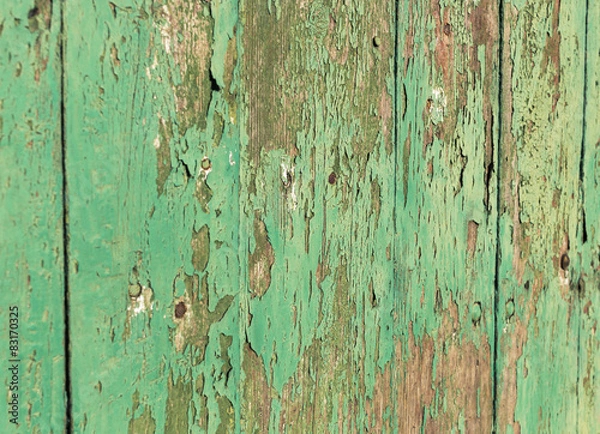 Fototapeta Closeup texture green wood wall