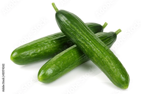 Fototapeta Ogórek