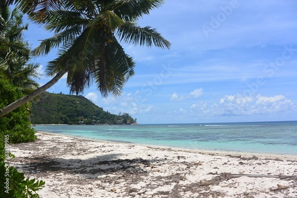 Obraz anse la blague seychelles
