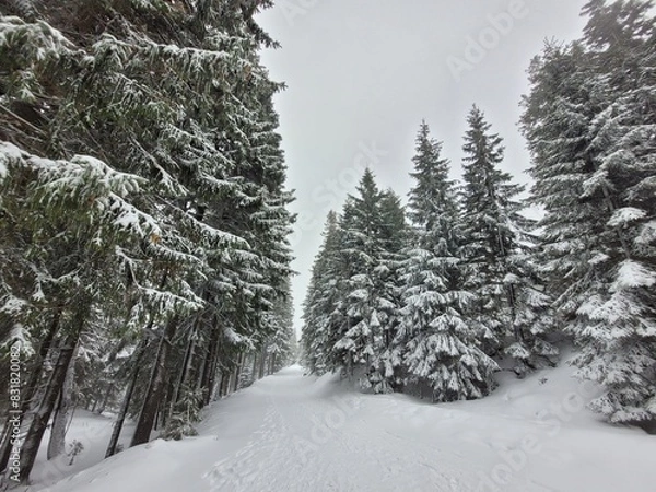 Obraz Snow in the mountains