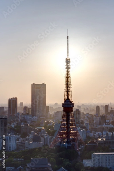 Fototapeta 夕日と東京タワーと町並み