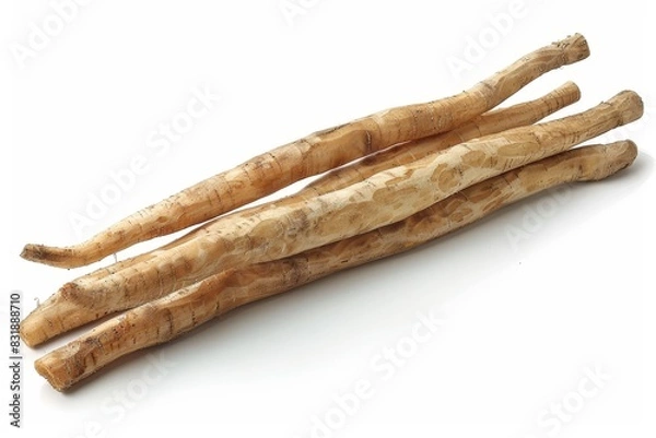 Obraz Fresh burdock root vegetable on white background