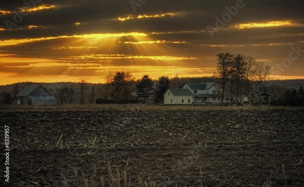 Fototapeta Last Rays