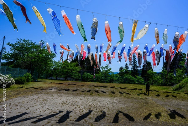 Fototapeta 鯉のぼり