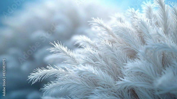 Obraz Many white grasses creating a beautiful meadow background.