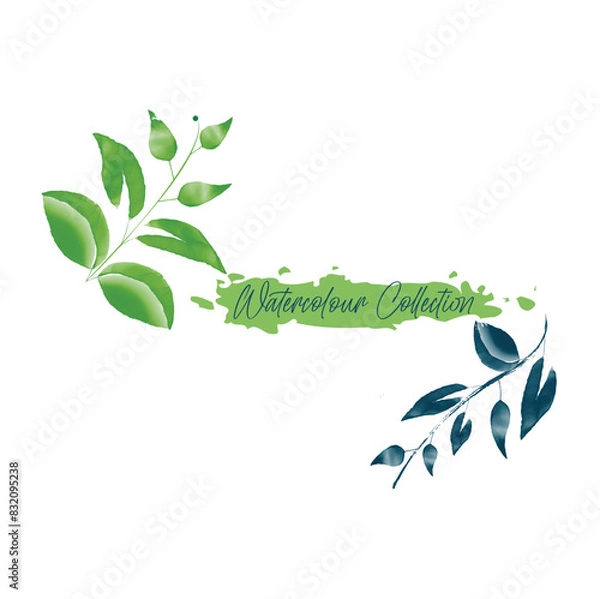 Fototapeta Leaf plant