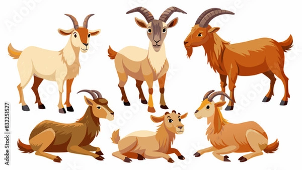 Fototapeta Set Of Goat In Different Pose, Collection Of Goat, Goat Set