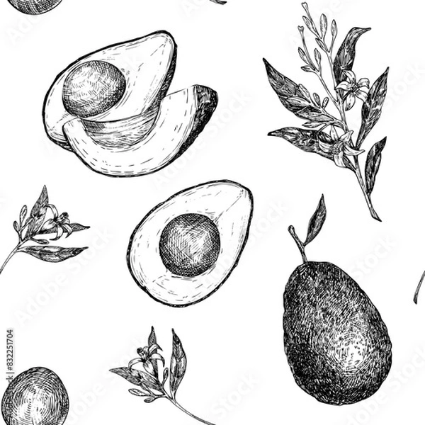 Fototapeta Seamless pattern with avocado hass graphic vector illustration, hand drawn sketch of vegetable,sliced avocado, flowers. Botanical drawing of tropical fruit. Engraving for food packaging design.