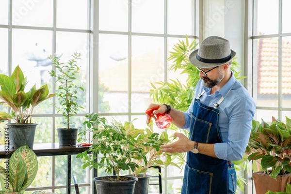 Fototapeta A senior man or grandfather with a mustache enjoys gardening for the tree at home after retirement