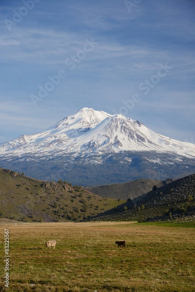 Obraz mount shasta