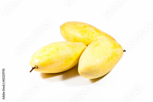 Obraz yellow mangos on white background