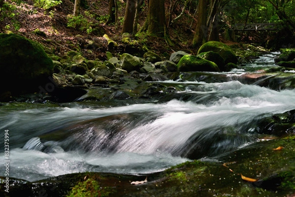 Obraz 渓谷の川の流れ