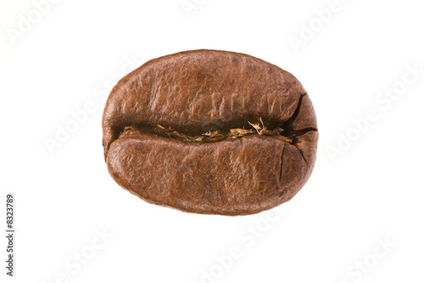 Obraz coffee bean