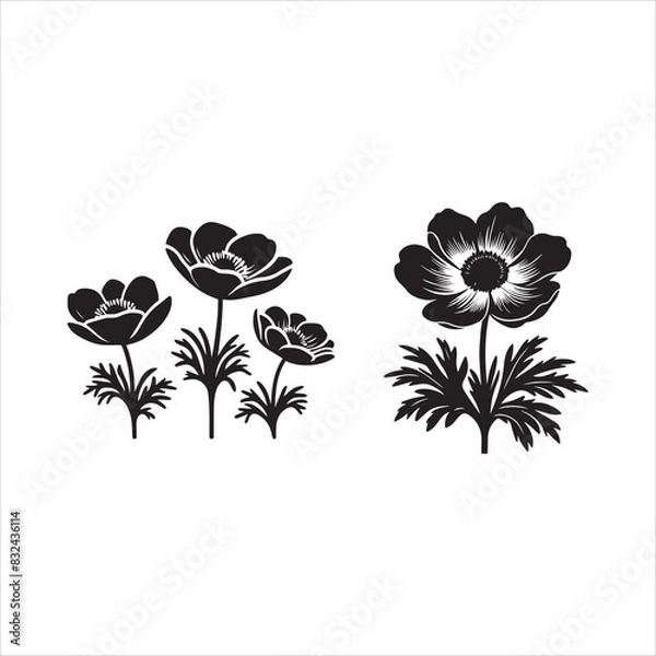 Fototapeta Anemone flower silhouette vector icon graphic logo ai generated design