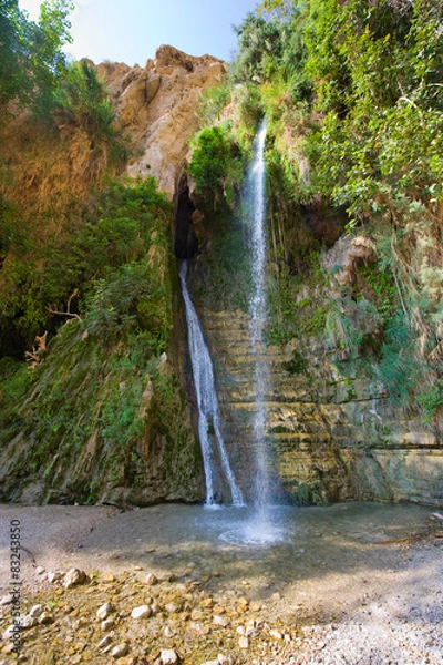 Obraz Ein Gedi