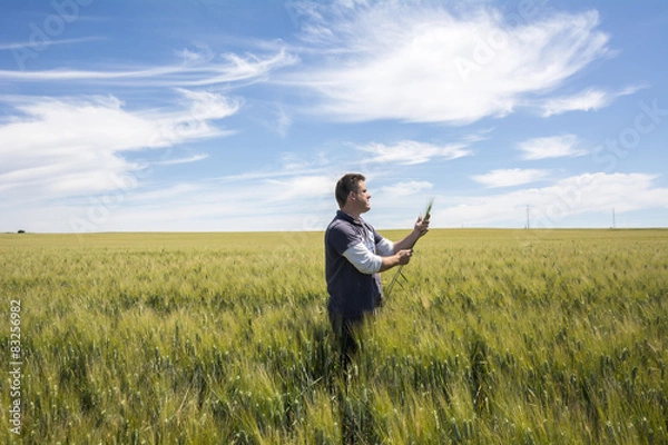 Obraz Farmer  is checking  the harvest quality wheat