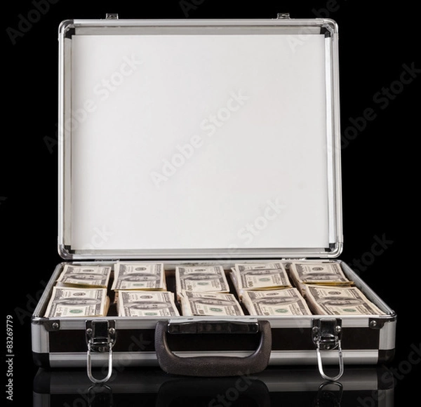 Fototapeta Silver case with money