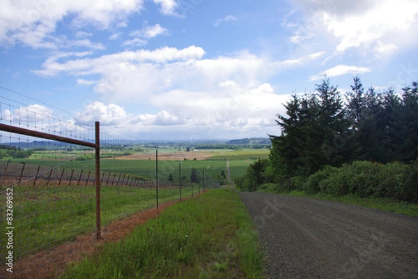 Obraz Big Blue Skies