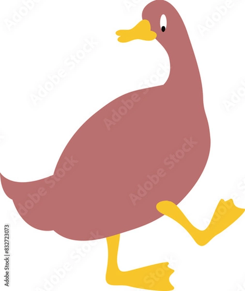 Obraz duck