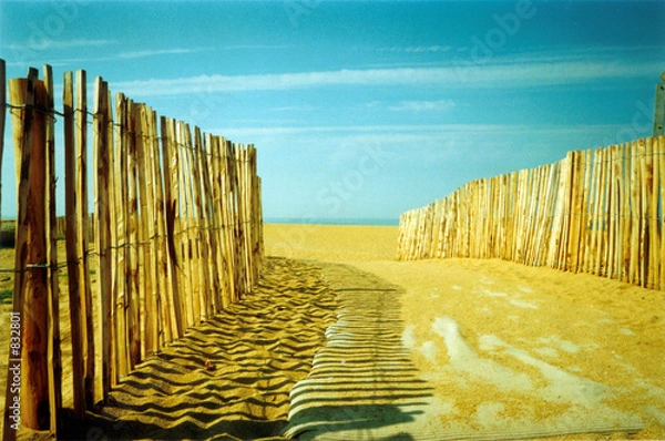 Obraz szlak plażowy