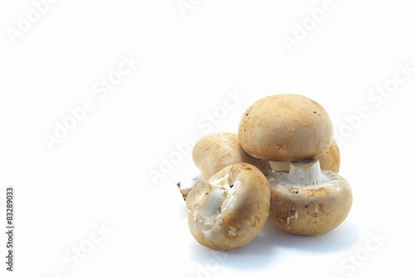 Obraz ブラウンマッシュルーム