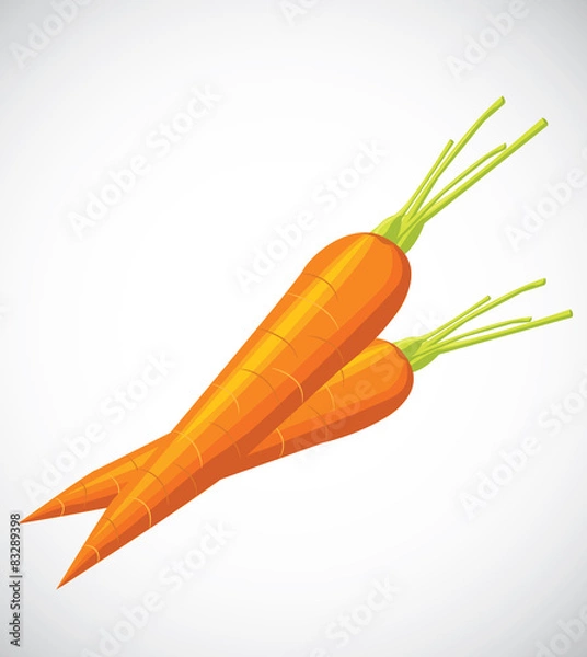 Fototapeta Carrot vector