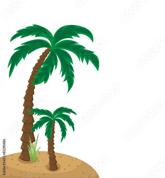 Fototapeta Palm trees