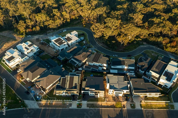 Obraz Last light aerial view of newly constructed modern Australian homes with Eucalyptus trees in the background.