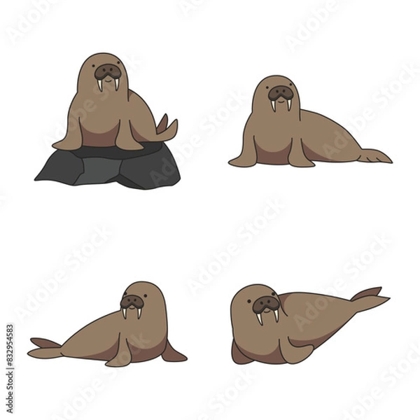 Fototapeta Walrus illustration