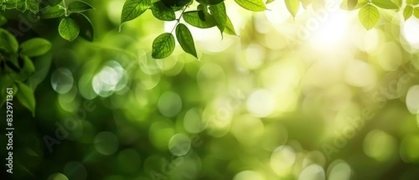 Fototapeta green macro abstract wallpaper with perfect light and blurred background to enhance the depth
