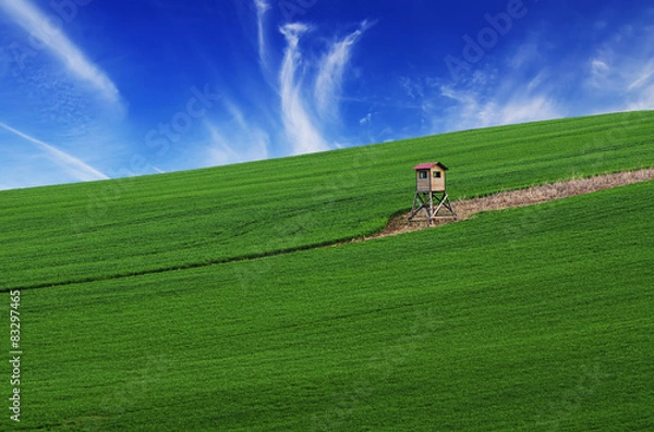 Obraz Rural landscape