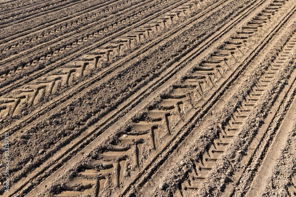 Fototapeta a plowed agricultural field with traces of a tractor