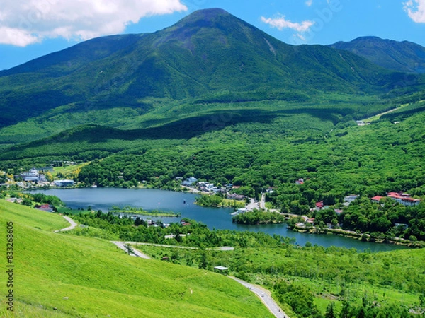 Obraz 霧ヶ峰の草原と蓼科山と白樺湖