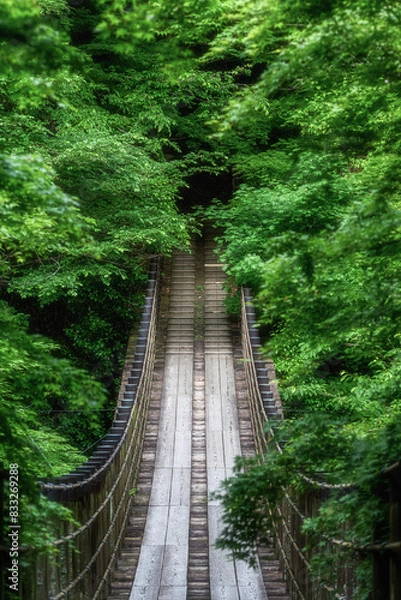 Fototapeta 	新緑の花貫渓谷　汐見滝吊り橋